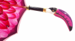 d�msk� luxusn� de�tn�k Toucan - pohled 2 - www.glancshop.cz