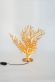 designov� stoln� lampa CORADORIA 1 - pohled 2 - www.glancshop.cz