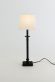 designov� stoln� lampa PALMARIA 2 - pohled 1 - www.glancshop.cz
